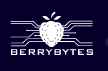 BerryBytes Nepal Jobs